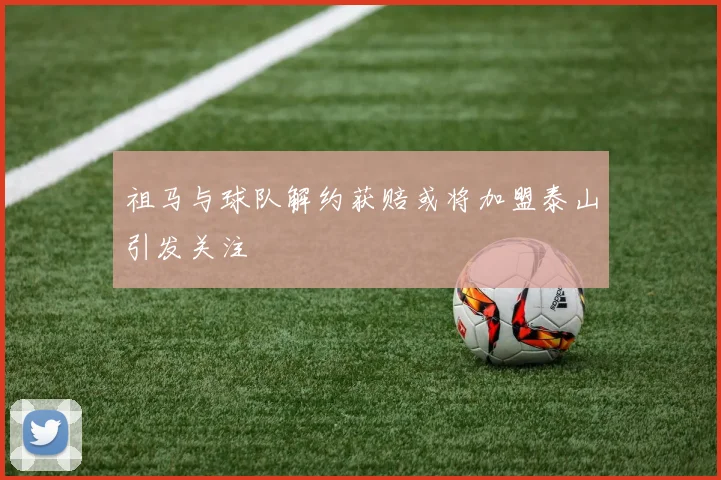 祖马与球队解约获赔或将加盟泰山引发关注