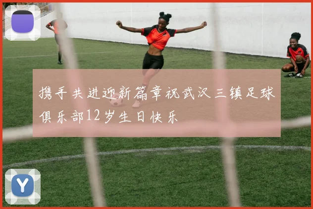 携手共进迎新篇章祝武汉三镇足球俱乐部12岁生日快乐