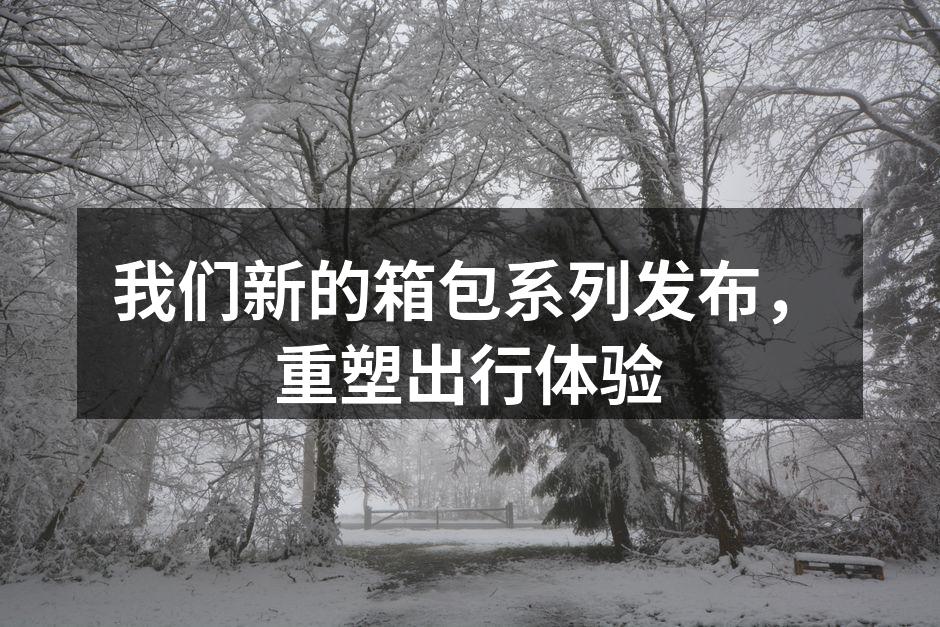 我们新的箱包系列发布，重塑出行体验
